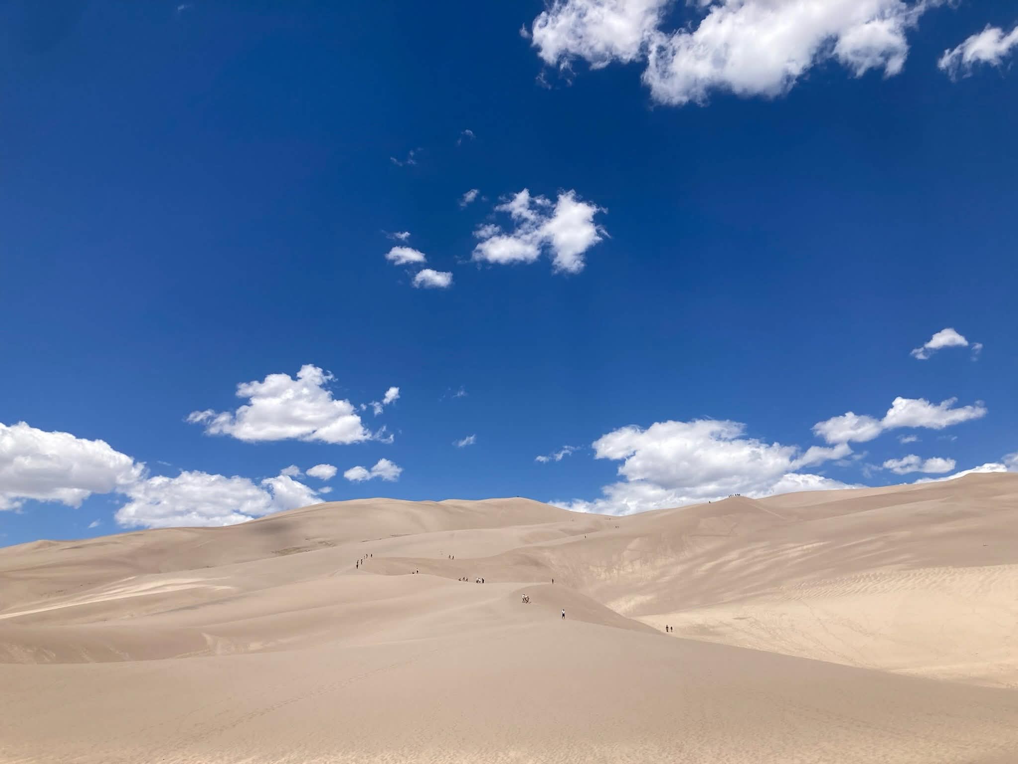The Dunes.