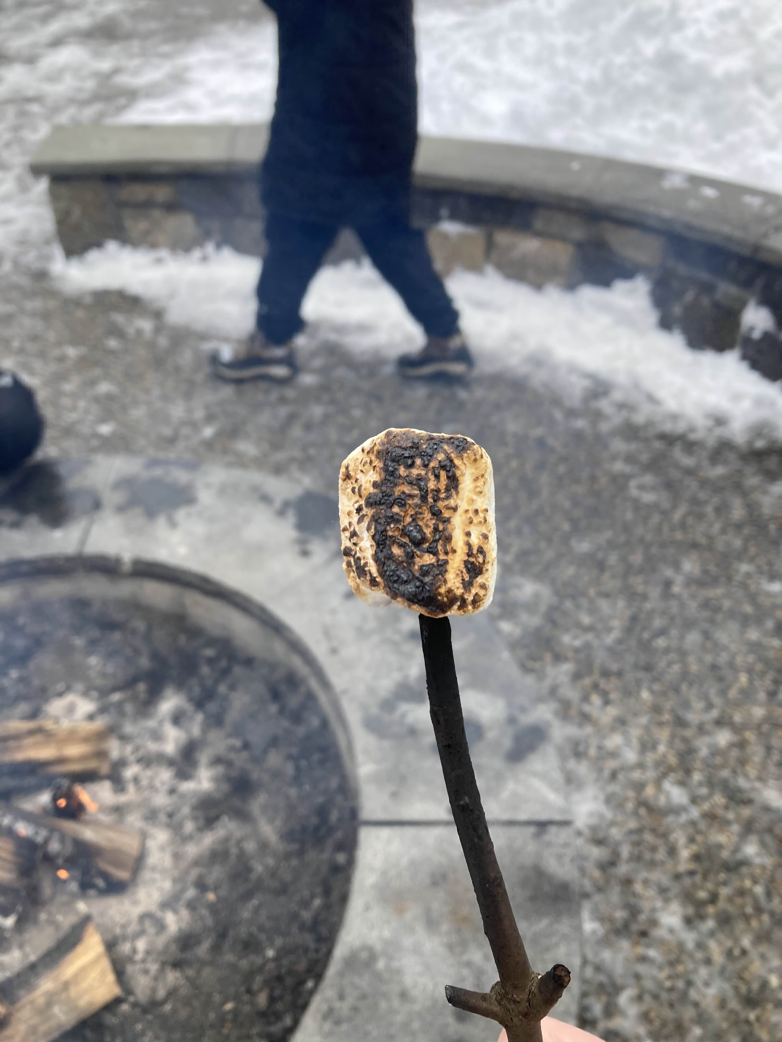 Marshmallows in Saratoga
