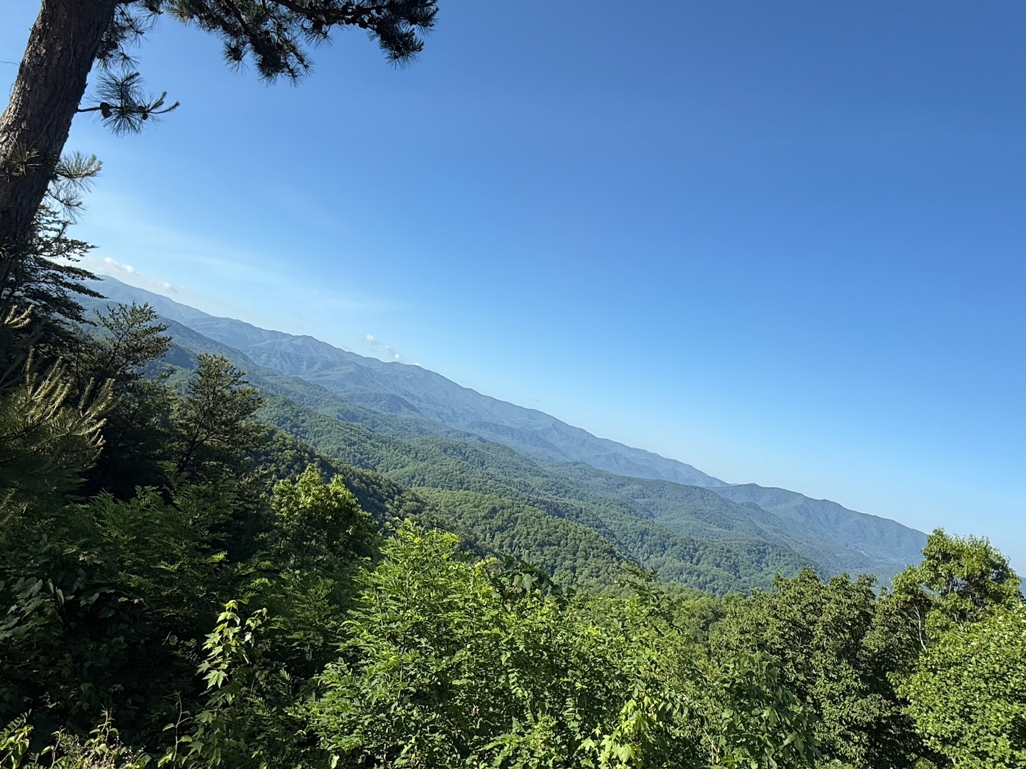 Rolling mountains.