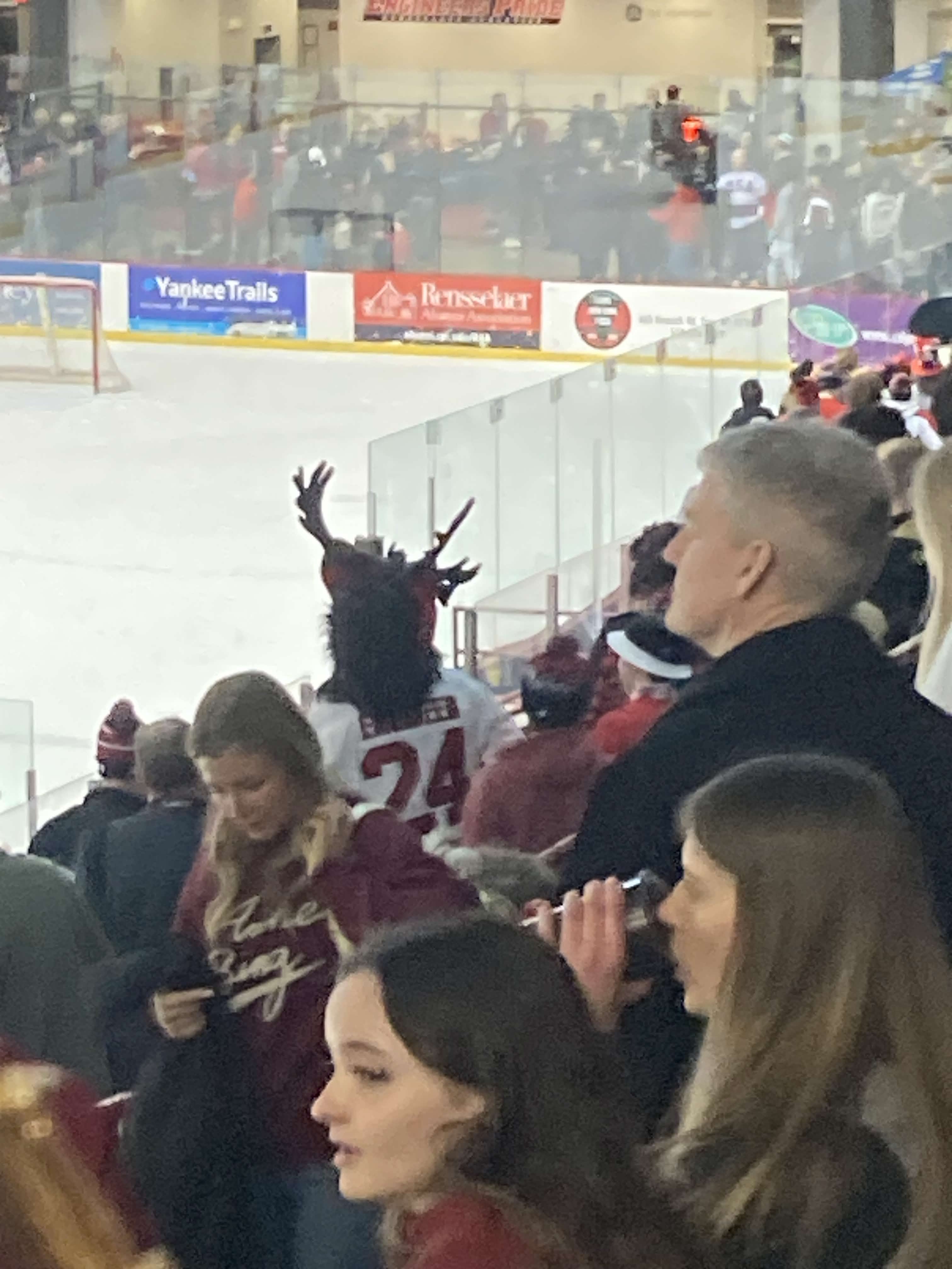 The moose is not pleased.