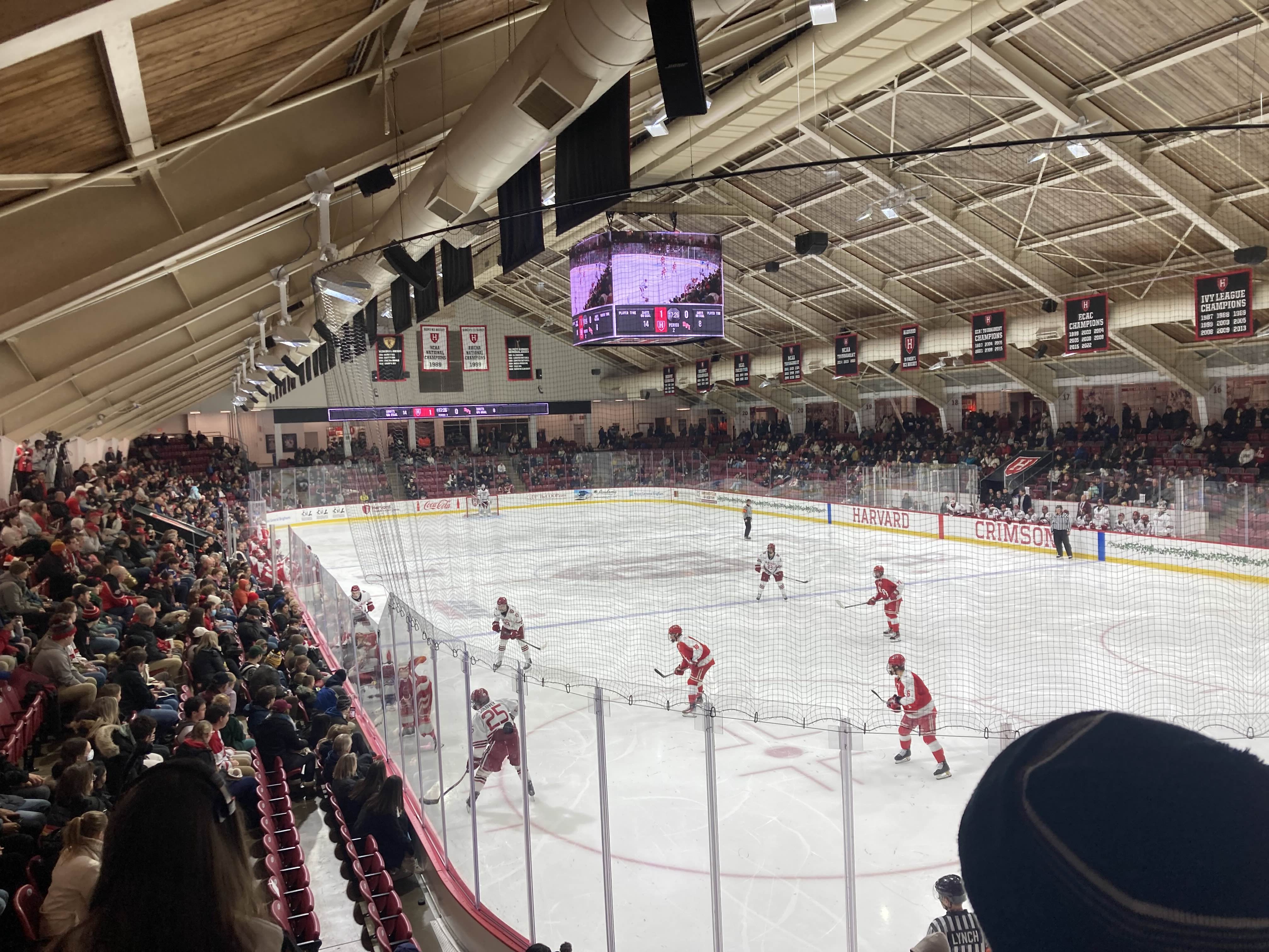 Harvard Ice Rink